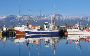 Islandia ofrece paisajes de belleza extrema.