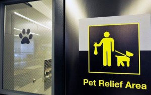 El "lavabo para perros" está convenientemente señalizado.