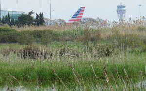 El aeropuerto de El Pratv está rodeado por una zona de marismas.